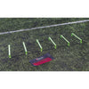 Precision Pinnacle Ladder